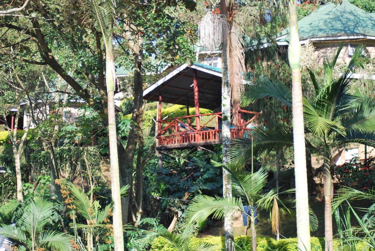 Crater Bay Cottages Kabale Εξωτερικό φωτογραφία