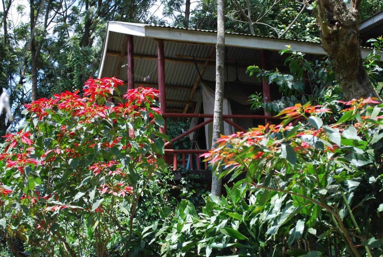Crater Bay Cottages Kabale Εξωτερικό φωτογραφία